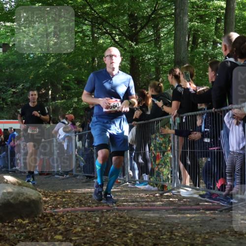 28.09.2025 - 33. Volkslauf durch das schöne Alstertal Strokosch-Dieckow http://msf.ph/oto/8968212 28.09.2025 11:48:42 Ziel 1123, 1560, 1590, 1607 meine-sportfotos.de