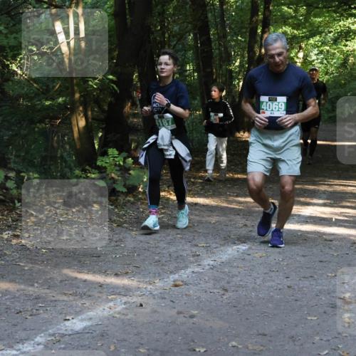 28.09.2025 - 33. Volkslauf durch das schöne Alstertal Strokosch-Dieckow http://msf.ph/oto/8968214 28.09.2025 10:55:17 Laufen 4187, 4069 meine-sportfotos.de
