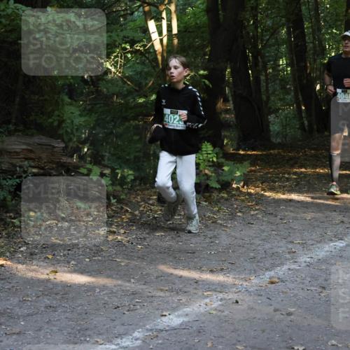 28.09.2025 - 33. Volkslauf durch das schöne Alstertal Strokosch-Dieckow http://msf.ph/oto/8968215 28.09.2025 10:55:19 Laufen 402, 4048 meine-sportfotos.de