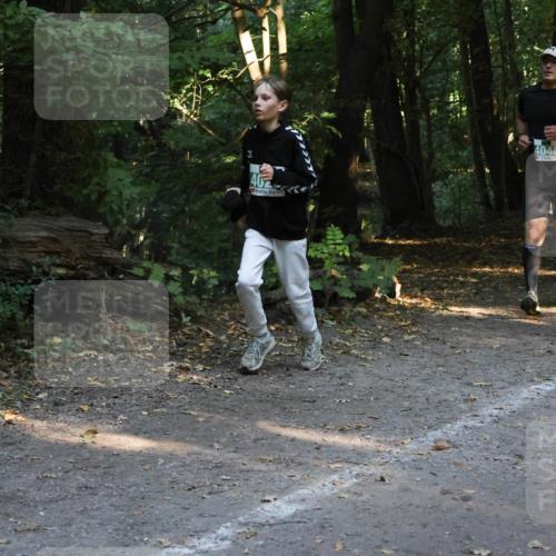 28.09.2025 - 33. Volkslauf durch das schöne Alstertal Strokosch-Dieckow http://msf.ph/oto/8968217 28.09.2025 10:55:20 Laufen 402, 4048 meine-sportfotos.de