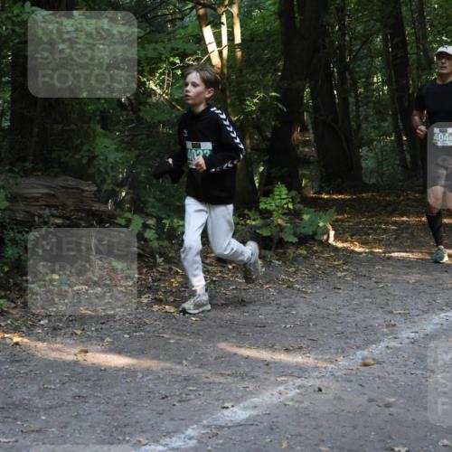 28.09.2025 - 33. Volkslauf durch das schöne Alstertal Strokosch-Dieckow http://msf.ph/oto/8968219 28.09.2025 10:55:20 Laufen 4022, 404 meine-sportfotos.de