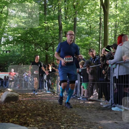 28.09.2025 - 33. Volkslauf durch das schöne Alstertal Strokosch-Dieckow http://msf.ph/oto/8968220 28.09.2025 11:48:43 Ziel 1123, 1560, 1590, 1606, 1607 meine-sportfotos.de