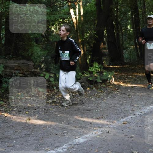 28.09.2025 - 33. Volkslauf durch das schöne Alstertal Strokosch-Dieckow http://msf.ph/oto/8968221 28.09.2025 10:55:20 Laufen 4023, 4048 meine-sportfotos.de