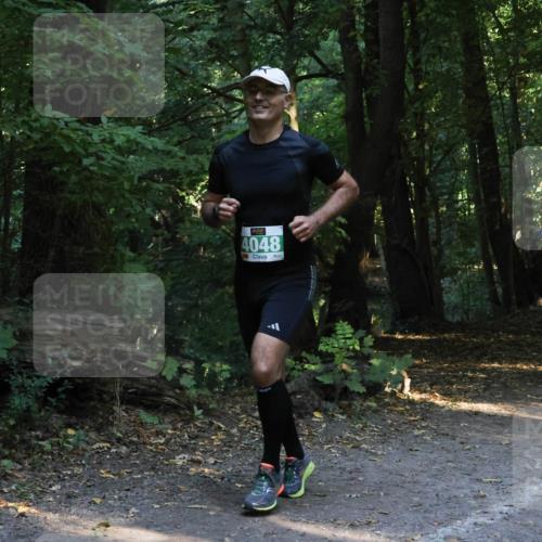28.09.2025 - 33. Volkslauf durch das schöne Alstertal Strokosch-Dieckow http://msf.ph/oto/8968228 28.09.2025 10:55:21 Laufen 4048 meine-sportfotos.de