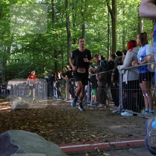 28.09.2025 - 33. Volkslauf durch das schöne Alstertal Strokosch-Dieckow http://msf.ph/oto/8968229 28.09.2025 11:48:44 Ziel 1123, 1560, 1590, 1606, 1607 meine-sportfotos.de