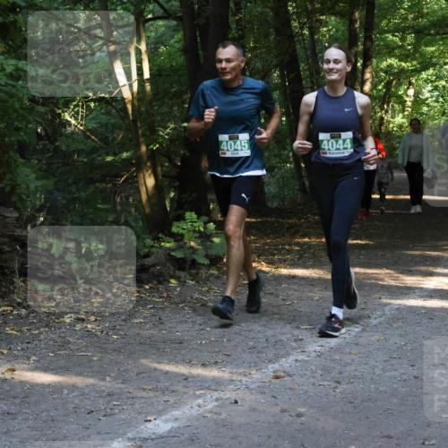 28.09.2025 - 33. Volkslauf durch das schöne Alstertal Strokosch-Dieckow http://msf.ph/oto/8968232 28.09.2025 10:55:31 Laufen 4045, 4044 meine-sportfotos.de