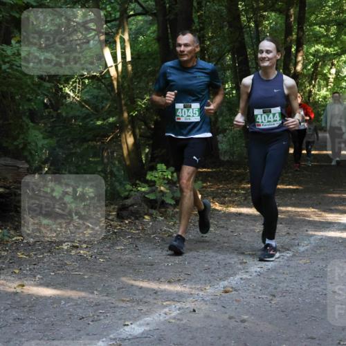 28.09.2025 - 33. Volkslauf durch das schöne Alstertal Strokosch-Dieckow http://msf.ph/oto/8968234 28.09.2025 10:55:31 Laufen 4045, 4044 meine-sportfotos.de