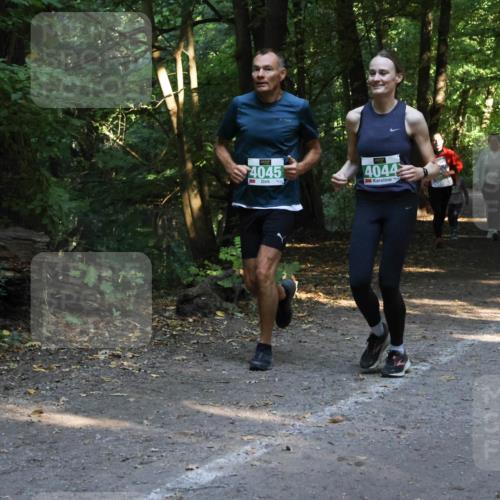 28.09.2025 - 33. Volkslauf durch das schöne Alstertal Strokosch-Dieckow http://msf.ph/oto/8968235 28.09.2025 10:55:31 Laufen 4045, 4044, 4032 meine-sportfotos.de