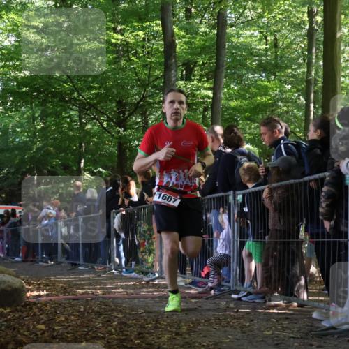 28.09.2025 - 33. Volkslauf durch das schöne Alstertal Strokosch-Dieckow http://msf.ph/oto/8968236 28.09.2025 11:48:46 Ziel 1123, 1606, 1607 meine-sportfotos.de