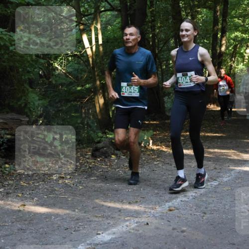 28.09.2025 - 33. Volkslauf durch das schöne Alstertal Strokosch-Dieckow http://msf.ph/oto/8968237 28.09.2025 10:55:31 Laufen 4045, 404, 032 meine-sportfotos.de