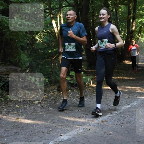28.09.2025 - 33. Volkslauf durch das schöne Alstertal Strokosch-Dieckow http://msf.ph/oto/8968239 28.09.2025 10:55:31 Laufen 4045, 4044 meine-sportfotos.de