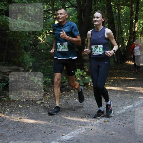 28.09.2025 - 33. Volkslauf durch das schöne Alstertal Strokosch-Dieckow http://msf.ph/oto/8968242 28.09.2025 10:55:32 Laufen 4045, 4044, 4032 meine-sportfotos.de