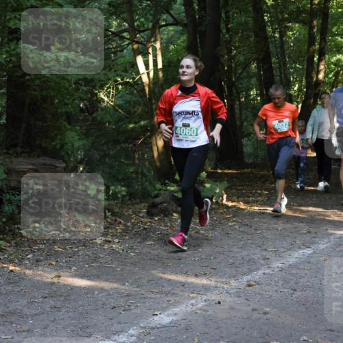 28.09.2025 - 33. Volkslauf durch das schöne Alstertal Strokosch-Dieckow http://msf.ph/oto/8968243 28.09.2025 10:55:35 Laufen 4060, 4032, 401, 4080 meine-sportfotos.de