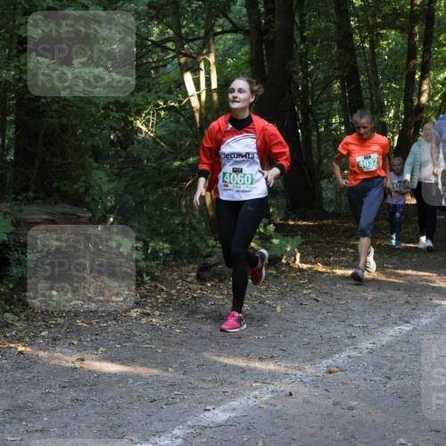 28.09.2025 - 33. Volkslauf durch das schöne Alstertal Strokosch-Dieckow http://msf.ph/oto/8968244 28.09.2025 10:55:35 Laufen 4060, 4032, 4012, 408 meine-sportfotos.de