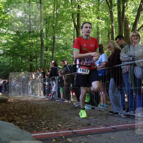 28.09.2025 - 33. Volkslauf durch das schöne Alstertal Strokosch-Dieckow http://msf.ph/oto/8968245 28.09.2025 11:48:47 Ziel 1123, 1606, 1607 meine-sportfotos.de