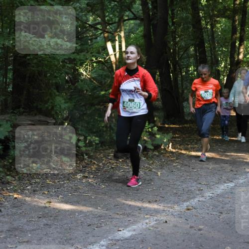 28.09.2025 - 33. Volkslauf durch das schöne Alstertal Strokosch-Dieckow http://msf.ph/oto/8968246 28.09.2025 10:55:35 Laufen 4060, 4032, 4012 meine-sportfotos.de