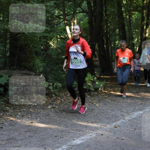 28.09.2025 - 33. Volkslauf durch das schöne Alstertal Strokosch-Dieckow http://msf.ph/oto/8968247 28.09.2025 10:55:35 Laufen 4060, 4032, 4012 meine-sportfotos.de