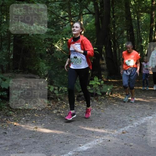 28.09.2025 - 33. Volkslauf durch das schöne Alstertal Strokosch-Dieckow http://msf.ph/oto/8968248 28.09.2025 10:55:35 Laufen 4060, 403, 4130, 4012 meine-sportfotos.de