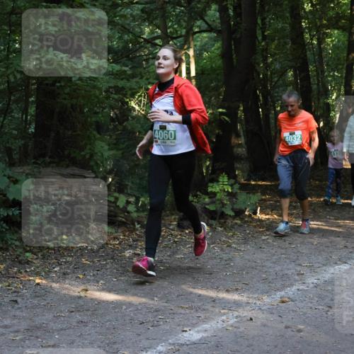 28.09.2025 - 33. Volkslauf durch das schöne Alstertal Strokosch-Dieckow http://msf.ph/oto/8968250 28.09.2025 10:55:35 Laufen 4060, 4032, 4012 meine-sportfotos.de