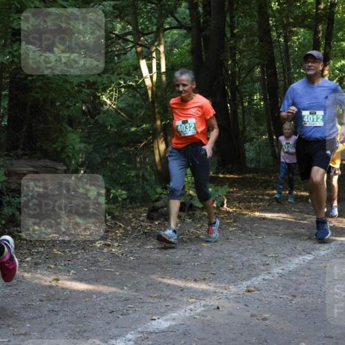 28.09.2025 - 33. Volkslauf durch das schöne Alstertal Strokosch-Dieckow http://msf.ph/oto/8968251 28.09.2025 10:55:36 Laufen 4032, 4130, 4012, 408 meine-sportfotos.de