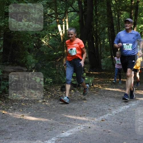 28.09.2025 - 33. Volkslauf durch das schöne Alstertal Strokosch-Dieckow http://msf.ph/oto/8968252 28.09.2025 10:55:36 Laufen 4032, 4012 meine-sportfotos.de