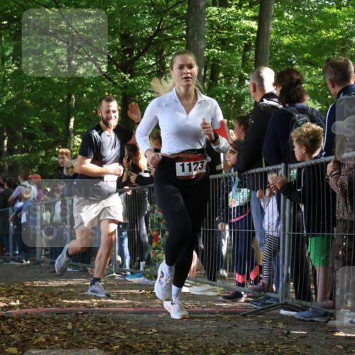 28.09.2025 - 33. Volkslauf durch das schöne Alstertal Strokosch-Dieckow http://msf.ph/oto/8968253 28.09.2025 11:48:51 Ziel 1123, 1588, 1606, 2241 meine-sportfotos.de