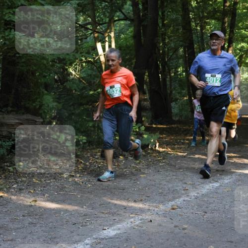28.09.2025 - 33. Volkslauf durch das schöne Alstertal Strokosch-Dieckow http://msf.ph/oto/8968254 28.09.2025 10:55:36 Laufen 4032, 4012 meine-sportfotos.de