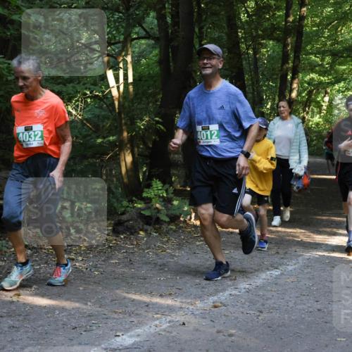 28.09.2025 - 33. Volkslauf durch das schöne Alstertal Strokosch-Dieckow http://msf.ph/oto/8968255 28.09.2025 10:55:37 Laufen 4032, 4012, 08 meine-sportfotos.de