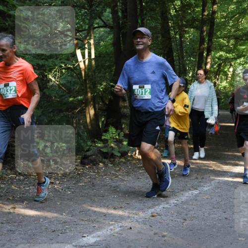 28.09.2025 - 33. Volkslauf durch das schöne Alstertal Strokosch-Dieckow http://msf.ph/oto/8968256 28.09.2025 10:55:37 Laufen 4032, 4012 meine-sportfotos.de