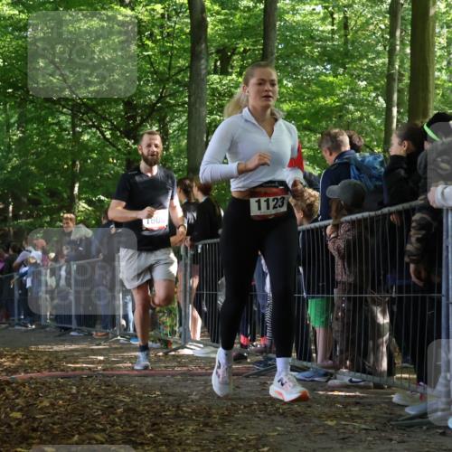 28.09.2025 - 33. Volkslauf durch das schöne Alstertal Strokosch-Dieckow http://msf.ph/oto/8968257 28.09.2025 11:48:51 Ziel 1123, 1588, 1606, 2241 meine-sportfotos.de