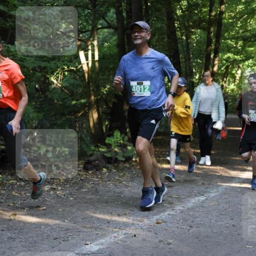 28.09.2025 - 33. Volkslauf durch das schöne Alstertal Strokosch-Dieckow http://msf.ph/oto/8968258 28.09.2025 10:55:37 Laufen 4032, 4012 meine-sportfotos.de