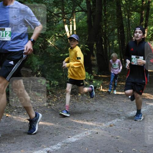 28.09.2025 - 33. Volkslauf durch das schöne Alstertal Strokosch-Dieckow http://msf.ph/oto/8968259 28.09.2025 10:55:38 Laufen 4012, 4130, 40 meine-sportfotos.de