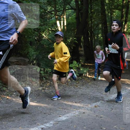 28.09.2025 - 33. Volkslauf durch das schöne Alstertal Strokosch-Dieckow http://msf.ph/oto/8968260 28.09.2025 10:55:38 Laufen 4012, 4130, 400 meine-sportfotos.de