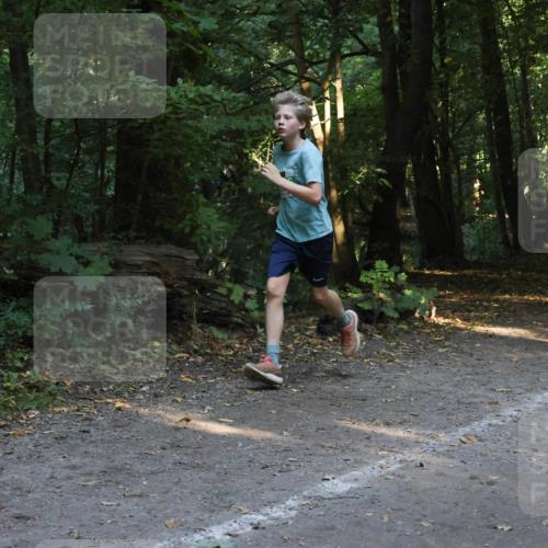 28.09.2025 - 33. Volkslauf durch das schöne Alstertal Strokosch-Dieckow http://msf.ph/oto/8968262 28.09.2025 10:55:45 Laufen  meine-sportfotos.de
