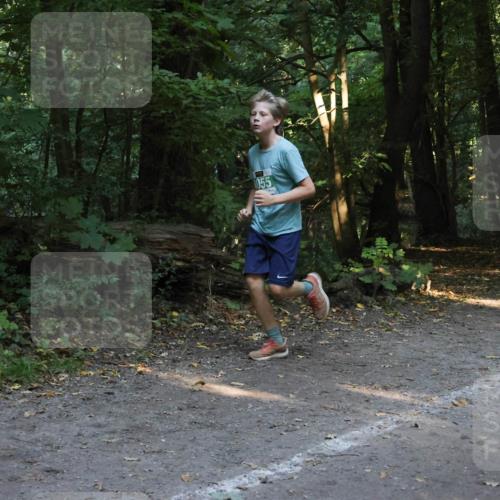 28.09.2025 - 33. Volkslauf durch das schöne Alstertal Strokosch-Dieckow http://msf.ph/oto/8968264 28.09.2025 10:55:45 Laufen 055 meine-sportfotos.de