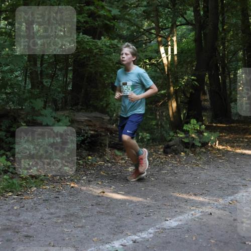 28.09.2025 - 33. Volkslauf durch das schöne Alstertal Strokosch-Dieckow http://msf.ph/oto/8968266 28.09.2025 10:55:45 Laufen 4055 meine-sportfotos.de