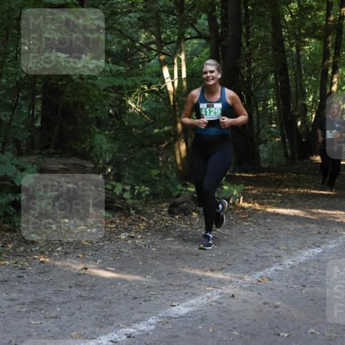 28.09.2025 - 33. Volkslauf durch das schöne Alstertal Strokosch-Dieckow http://msf.ph/oto/8968270 28.09.2025 10:55:50 Laufen 4129, 401 meine-sportfotos.de