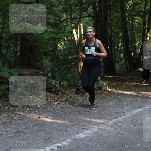 28.09.2025 - 33. Volkslauf durch das schöne Alstertal Strokosch-Dieckow http://msf.ph/oto/8968271 28.09.2025 10:55:50 Laufen 4129 meine-sportfotos.de