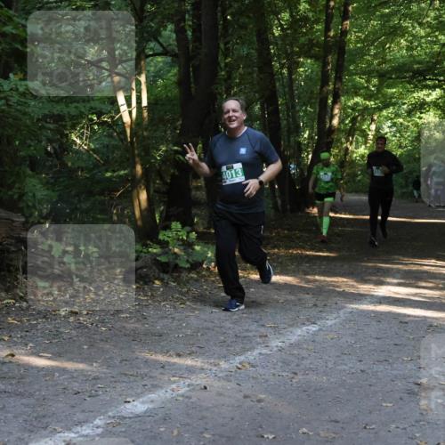 28.09.2025 - 33. Volkslauf durch das schöne Alstertal Strokosch-Dieckow http://msf.ph/oto/8968276 28.09.2025 10:55:53 Laufen 4013 meine-sportfotos.de