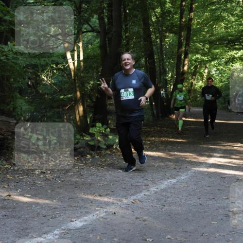 28.09.2025 - 33. Volkslauf durch das schöne Alstertal Strokosch-Dieckow http://msf.ph/oto/8968277 28.09.2025 10:55:53 Laufen 4013 meine-sportfotos.de