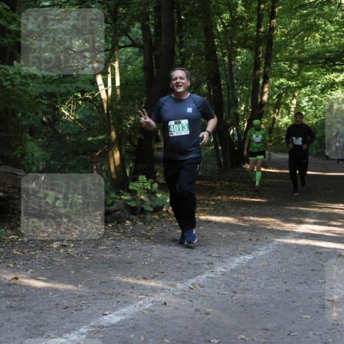 28.09.2025 - 33. Volkslauf durch das schöne Alstertal Strokosch-Dieckow http://msf.ph/oto/8968279 28.09.2025 10:55:53 Laufen 4013 meine-sportfotos.de
