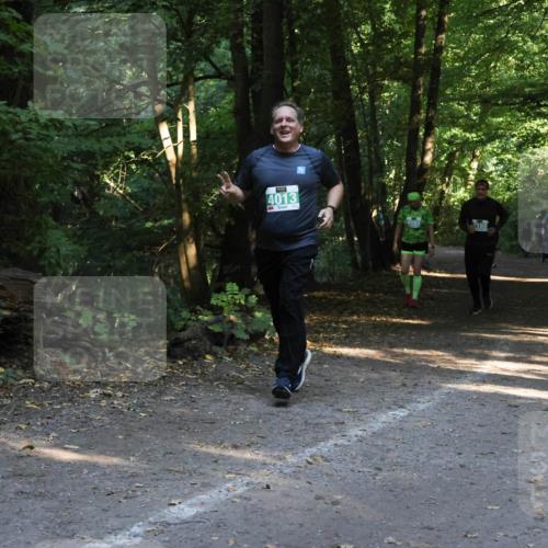 28.09.2025 - 33. Volkslauf durch das schöne Alstertal Strokosch-Dieckow http://msf.ph/oto/8968280 28.09.2025 10:55:53 Laufen 4013 meine-sportfotos.de