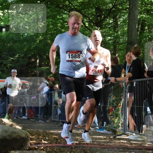 28.09.2025 - 33. Volkslauf durch das schöne Alstertal Strokosch-Dieckow http://msf.ph/oto/8968282 28.09.2025 11:48:58 Ziel 1588, 1789, 2241 meine-sportfotos.de