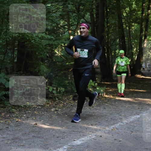 28.09.2025 - 33. Volkslauf durch das schöne Alstertal Strokosch-Dieckow http://msf.ph/oto/8968284 28.09.2025 10:55:56 Laufen 160, 4088 meine-sportfotos.de