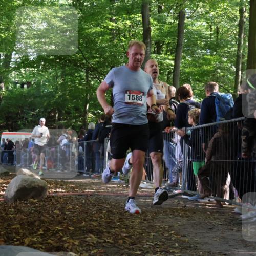 28.09.2025 - 33. Volkslauf durch das schöne Alstertal Strokosch-Dieckow http://msf.ph/oto/8968286 28.09.2025 11:48:59 Ziel 1588, 1789, 2241 meine-sportfotos.de
