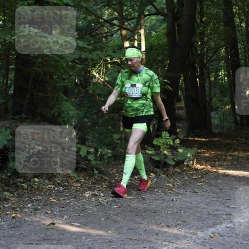 28.09.2025 - 33. Volkslauf durch das schöne Alstertal Strokosch-Dieckow http://msf.ph/oto/8968287 28.09.2025 10:55:59 Laufen 4088 meine-sportfotos.de