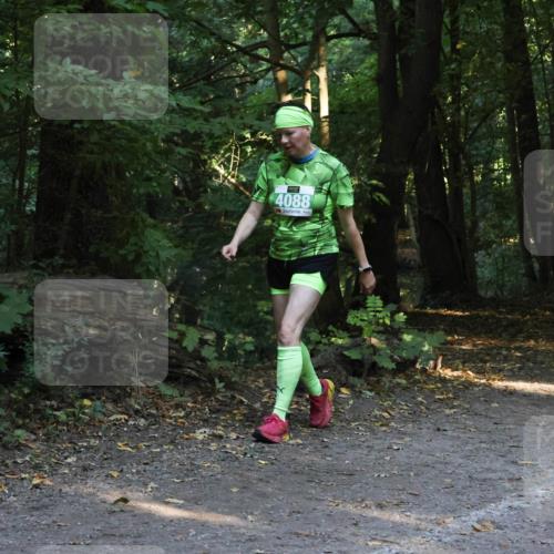 28.09.2025 - 33. Volkslauf durch das schöne Alstertal Strokosch-Dieckow http://msf.ph/oto/8968288 28.09.2025 10:55:59 Laufen 4088 meine-sportfotos.de