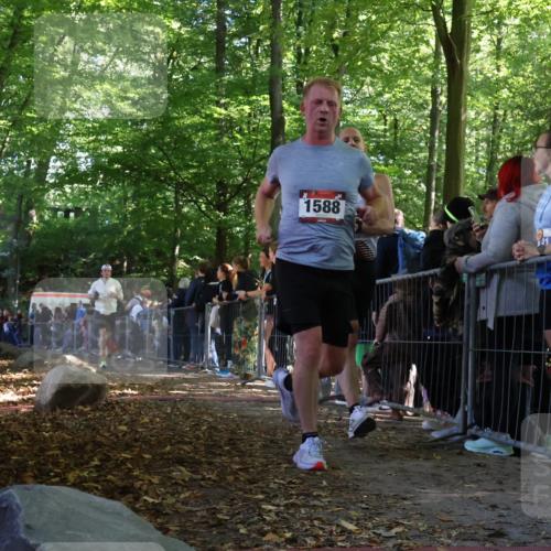 28.09.2025 - 33. Volkslauf durch das schöne Alstertal Strokosch-Dieckow http://msf.ph/oto/8968289 28.09.2025 11:48:59 Ziel 1588, 1789, 2241 meine-sportfotos.de