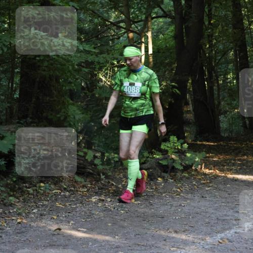 28.09.2025 - 33. Volkslauf durch das schöne Alstertal Strokosch-Dieckow http://msf.ph/oto/8968290 28.09.2025 10:55:59 Laufen 4088 meine-sportfotos.de