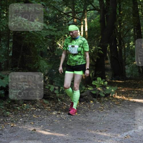 28.09.2025 - 33. Volkslauf durch das schöne Alstertal Strokosch-Dieckow http://msf.ph/oto/8968291 28.09.2025 10:55:59 Laufen 4088 meine-sportfotos.de